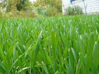 Similar image 452359