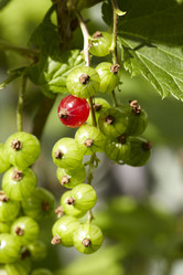 Similar image 452388