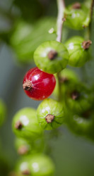 Similar image 452389