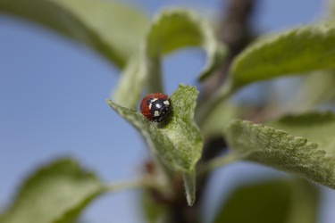 Similar image 452392