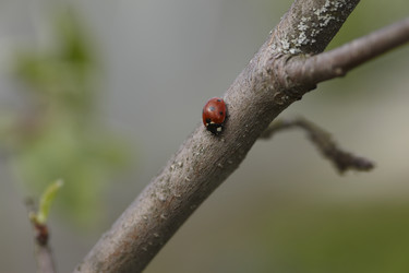 Similar image 452393