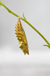 Similar image 452394