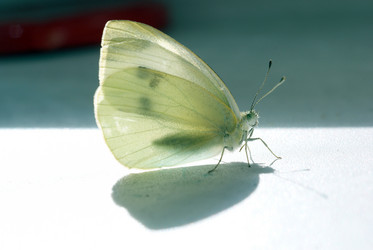 Similar image 452411