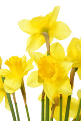 Similar image 452446