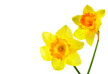 Similar image 452447