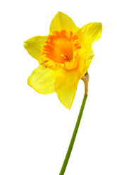 Similar image 452450