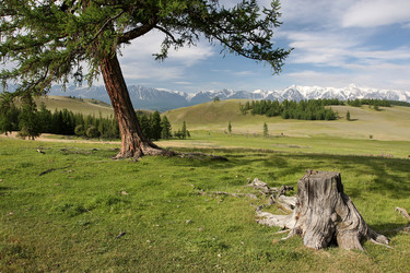 Similar image 452501