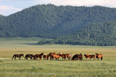 Similar image 452505