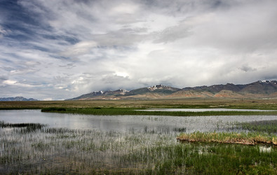 Similar image 452506