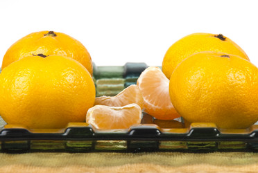 Similar image 452513