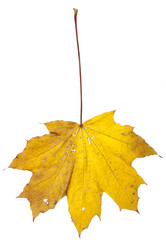 Similar image 452514