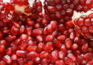 Similar image 452539