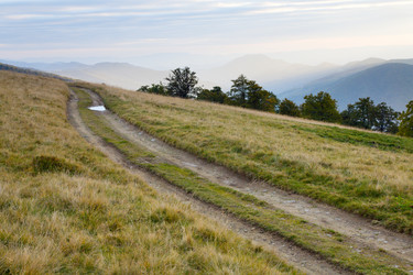 Similar image 452560