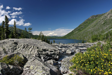 Similar image 452561