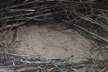 Similar image 452578