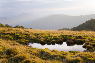 Similar image 452582