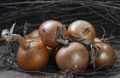 Similar image 452591