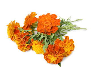 Similar image 452603