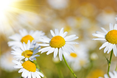 Similar image 452607