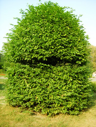 Similar image 452626