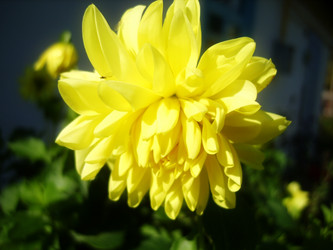 Similar image 452639