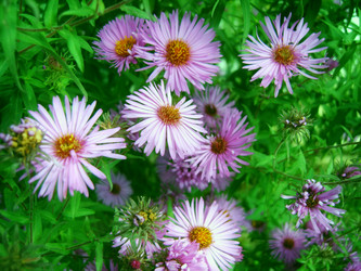 Similar image 452658