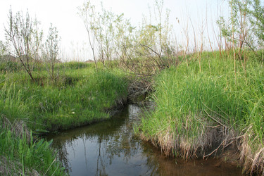 Similar image 452670