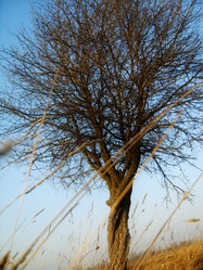 Similar image 452676