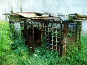 Similar image 452679