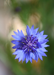 Similar image 452711