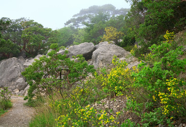 Similar image 452715