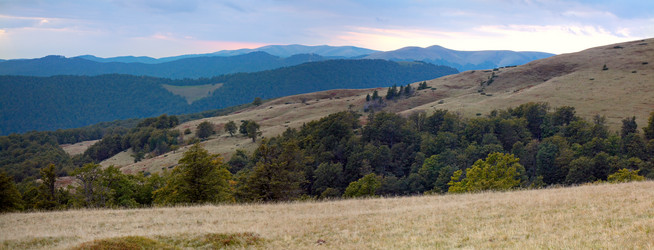 Similar image 452719