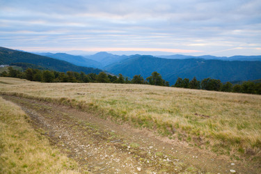 Similar image 452724