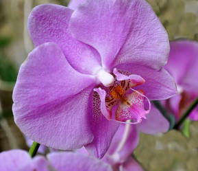 Similar image 452730