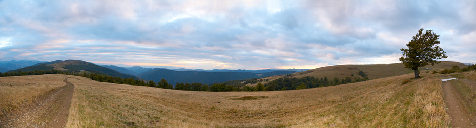 Similar image 452731