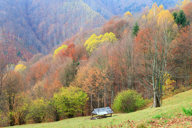 Similar image 452743