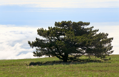 Similar image 452775