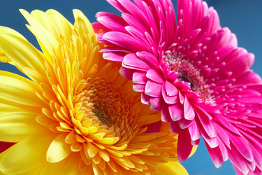 Similar image 452779