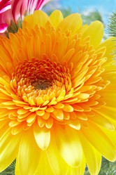 Similar image 452784