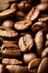 Similar image 452786