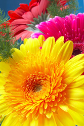 Similar image 452789