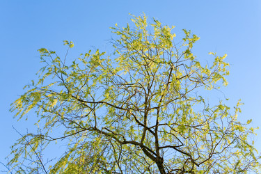 Similar image 452874