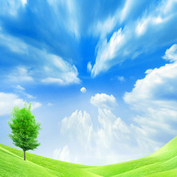 Similar image 452875