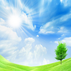 Similar image 452881