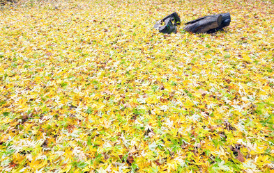 Similar image 452892