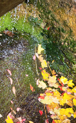 Similar image 452948