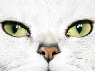 Similar image 452952