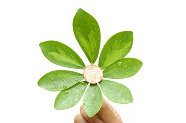 Similar image 453052