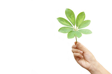 Similar image 453054