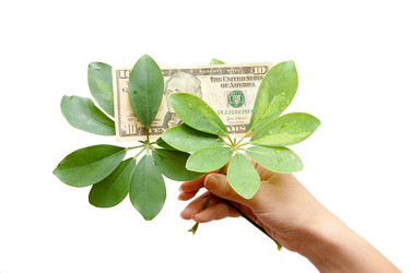 Similar image 453059